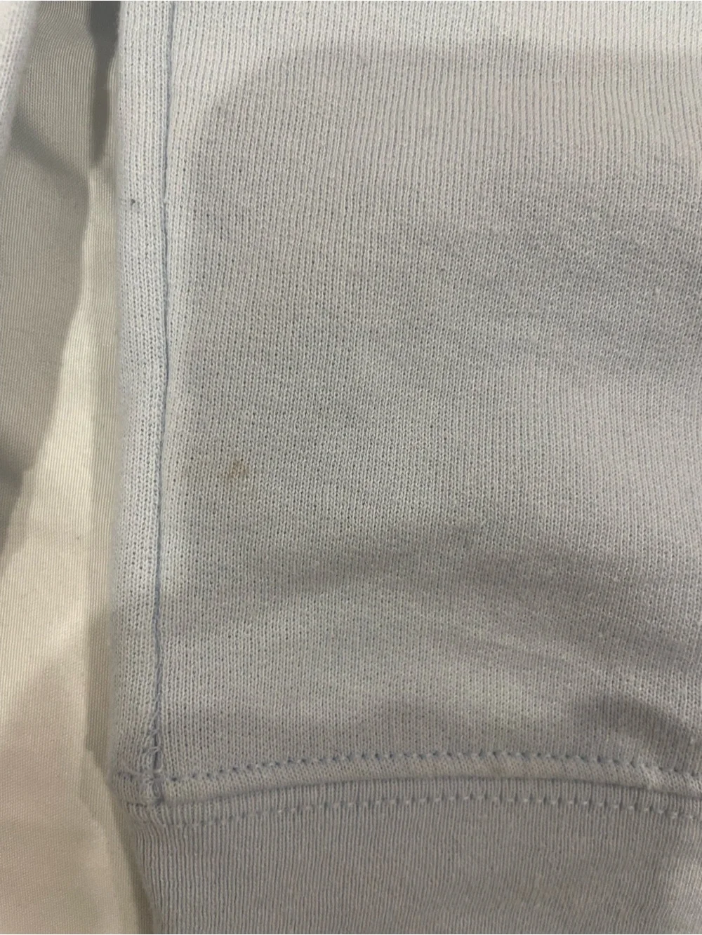 Champion Light Blue Crewneck Sweatshirt with Logo